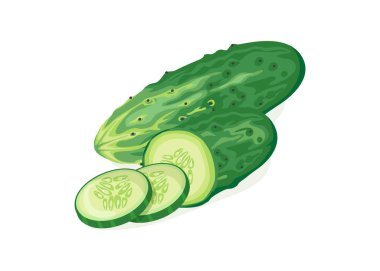 Taze yeşil salatalık dilim beyaz arka plan üzerinde. vektör çizim düz tasarım