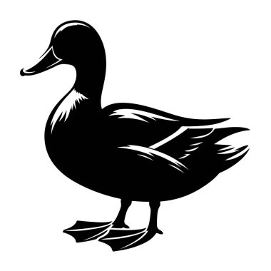 Beyaz arkaplan ile izole edilmiş ördek vektör biçimi