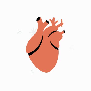 Kardiyovasküler sistemi ve tıp eğitimini sembolize eden, insan kalbinin detaylı bir anatomik temsili. Kalp sağlığının önemini vurgular..
