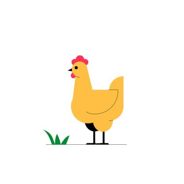 Çimlerin üzerinde duran sarı tavuk, çiftlik hayatını ve kümes hayvanlarını temsil ediyor. Tarımsal temalar için sadeleştirilmiş düz vektör çizimi, beyaz arka planda izole edilmiş.