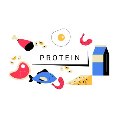 Protein zengini besin maddeleri, yumurta, peynir, balık, et, karides ve süt kutuları, düz vektör tarzında gösterilmiş, besin ve sağlıklı beslenmeyi sembolize eder..
