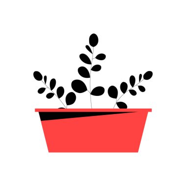 Kırmızı bir tencerede yuvarlak yaprakları olan minimalist saksı yeşil bitki, ev dekorasyonunu ve beyaz arka planda izole edilmiş botanik estetiği sembolize ediyor..