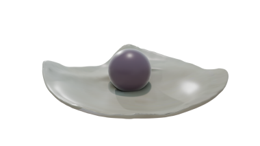 Venüs midyesinde Quahog incileri