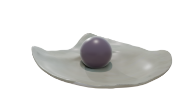 Venüs midyesinde Quahog incileri