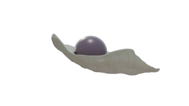 Venüs midyesinde Quahog incileri