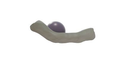 Venüs midyesinde Quahog incileri