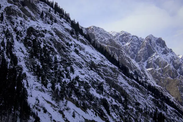 Rocky yamaçları ve Evergreen ağaçları ile karla kaplı sıradağlar, Top View, Kalam, Pakistan