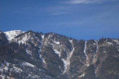 Kuzey Pakistan, Kalam 'da Açık Mavi Gökyüzü altında Alp ağaçlarıyla kaplı Karlı Dağlar