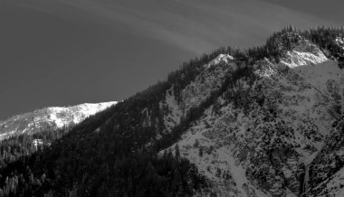 Ormanlı bir Sunlit Dağının Siyah ve Beyaz Fotoğrafı