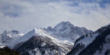 Evergreen Ormanları, Kalam, Pakistan ile Karlı Dağ Tepelerinin Panoramik Manzarası