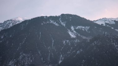 Dağ Vista: Karla kaplı tepeler ve Evergreen Ağaçları
