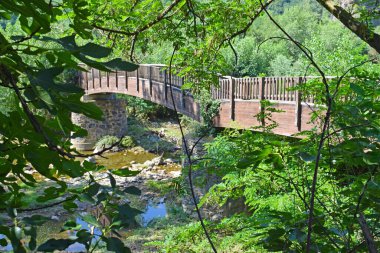 Castellfollit de la Roca, Girona İspanya