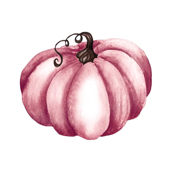 水彩ピンクのカボチャのセット 花のカボチャ ハロウィンクリップ 秋のデザイン要素 収穫図孤立 — ストック写真