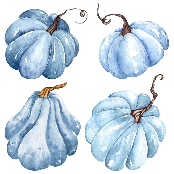 Set Zucche Blu Acquerello Zucche Floreali Clipart Halloween Elementi Design — Foto Stock