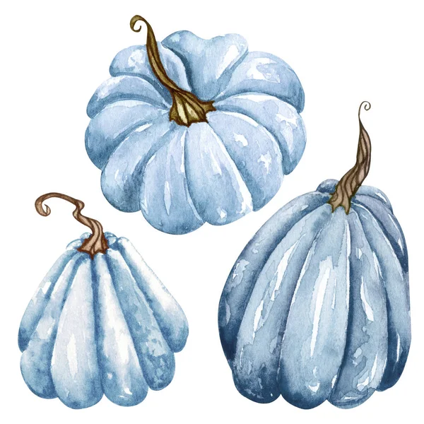 水彩ブルーのカボチャのセット 花のカボチャ ハロウィーンのクリップ 秋のデザイン要素 収穫図孤立 — ストック写真