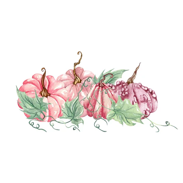 할로윈 디자인 분홍색 호박의 수확하는 — 스톡 사진