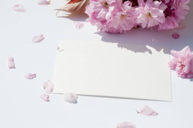 Old ink pen and ink bottle on white background. Vintage calligraphy pen and bottle of ink. Cherry blossom twig with black ink and sheet of paper. Mockup