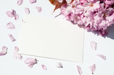 Old ink pen and ink bottle on white background. Vintage calligraphy pen and bottle of ink. Cherry blossom twig with black ink and sheet of paper. Mockup