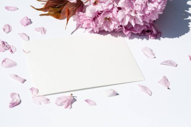 Old ink pen and ink bottle on white background. Vintage calligraphy pen and bottle of ink. Cherry blossom twig with black ink and sheet of paper. Mockup