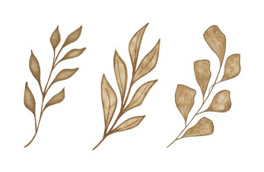 Altın desenli suluboya egzotik kuru dal. Beyaz arka planda el yapımı bohem yaprakları. Tasarım, baskı, kumaş veya arkaplan için çiçek çizimi.