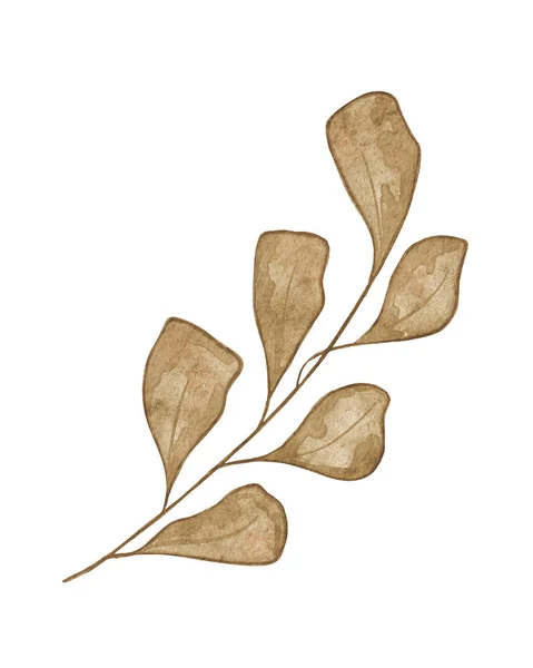 金のテクスチャと水彩エキゾチックな乾燥した小枝 手描きの棒の葉は白い背景に隔離されます デザイン プリント ファブリックまたは背景のための花のイラスト — ストック写真