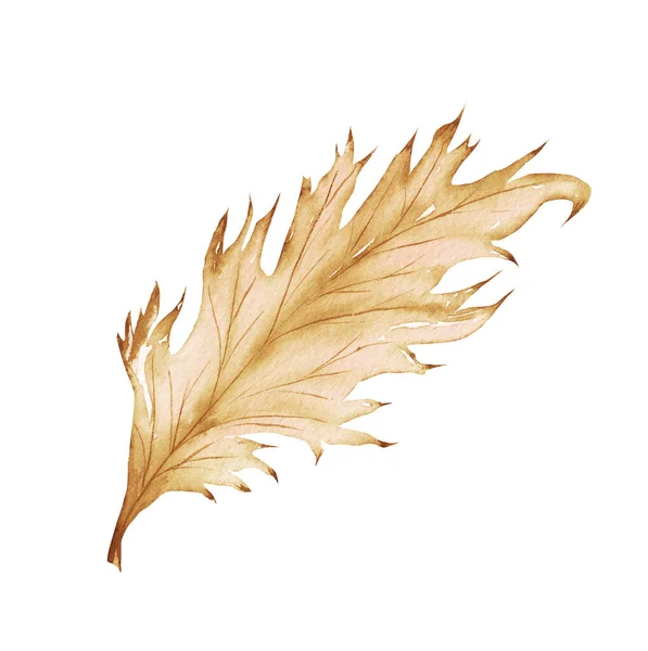 Watercolor Exotic Dry Twig Gold Textures Hand Painted Boho Leaves — Stock Photo, Image