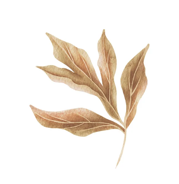 带有金质的水彩艳丽的干枝条 手绘Boho叶子隔离在白色背景上 用于设计 织物或背景的花卉图解 — 图库照片