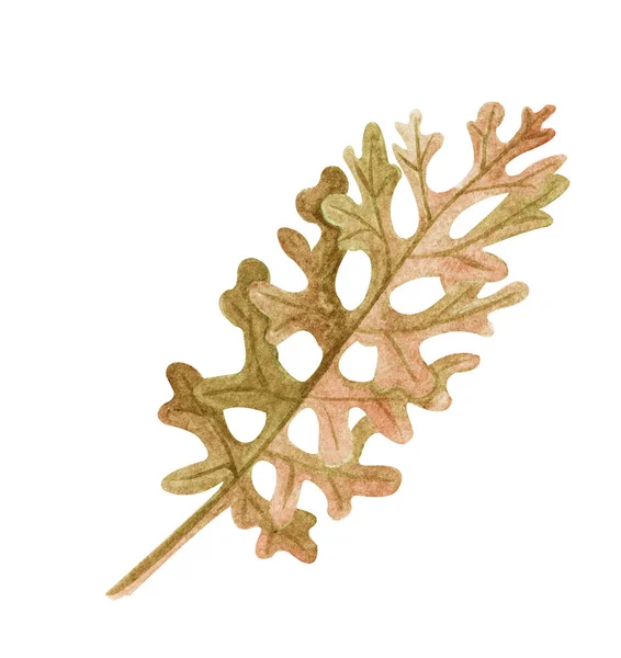 Aquarela Exótica Galho Seco Com Texturas Douradas Boho Pintado Mão — Fotografia de Stock