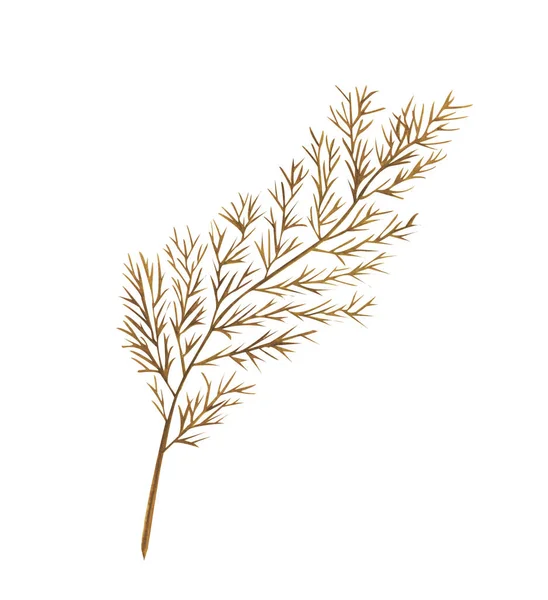 带有金质的水彩艳丽的干枝条 手绘Boho叶子隔离在白色背景上 用于设计 织物或背景的花卉图解 — 图库照片