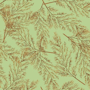 Suluboya desensiz kuru dal ve yapraklar. Elle boyanmış bohem yaprakları. Tasarım, baskı, kumaş veya arkaplan için çiçek arkaplanı.