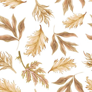 Suluboya desensiz kuru dal ve yapraklar. Elle boyanmış bohem yaprakları. Tasarım, baskı, kumaş veya arkaplan için çiçek arkaplanı.