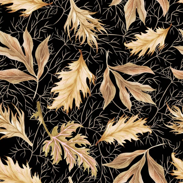 Suluboya Desensiz Kuru Dal Yapraklar Elle Boyanmış Bohem Yaprakları Tasarım — Stok fotoğraf