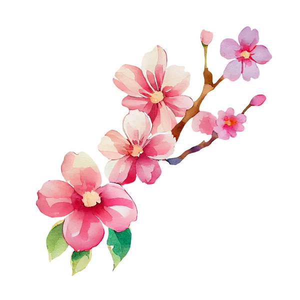 Wiosenna Gałązka Różowe Kwiaty Wiśni Ilustracja Akwarela Izolowane Białym — Zdjęcie stockowe