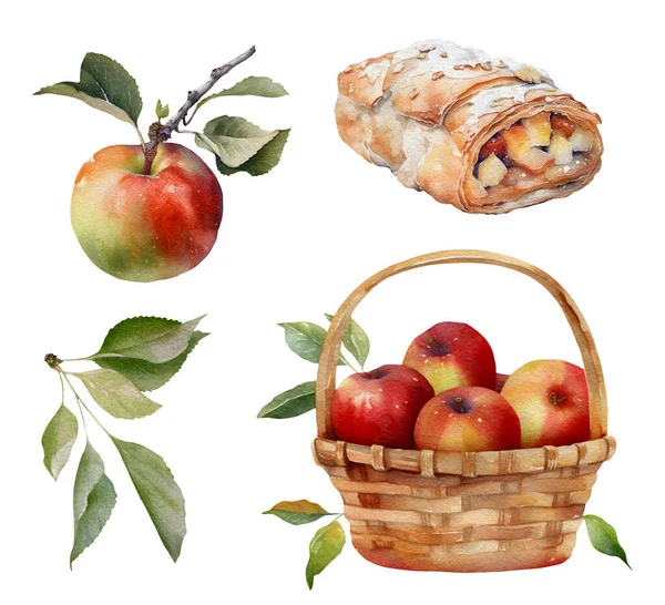 Apple Harvest set. Basket with red apples and berries. Watercolor hand drawn illustration, isolated on white.