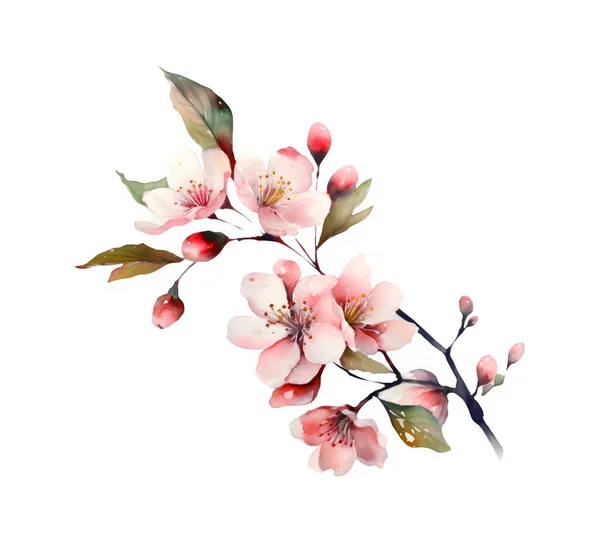 Appelboom Takken Bloemen Bloeiende Boom Voorjaarsbloemen Perfect Voor Trouwkaarten Uitnodigingen Stockafbeelding