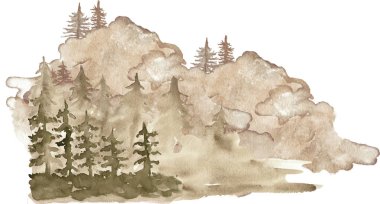 Suluboya Orman Ağacı manzarası. Sonbahar çam ağacı Woodland arka planı