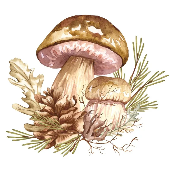 Watercolor Autumn Composition Vintage Style Hand Painted Wild Mushrooms Dried — Stock Photo, Image