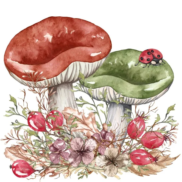 Composição Outono Aquarela Estilo Vintage Cogumelos Selvagens Pintados Mão Com — Fotografia de Stock