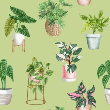 Philodendron kusursuz desen. El çizimi Ev Bitkisi illüstrasyonu