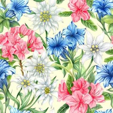 Alp çiçekleriyle kusursuz desen. Edelweise, rhododendron, gentiana. Tekstil, duvar kağıdı, kapaklar için suluboya baskısı, yüzey gelişen Alp çayırı