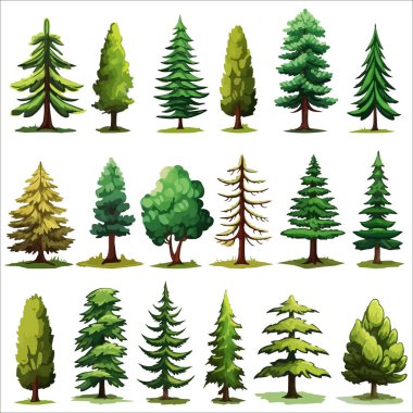 Orman daima yeşil ağaç vektörü ayarlandı. Kozalaklı orman çizimleri
