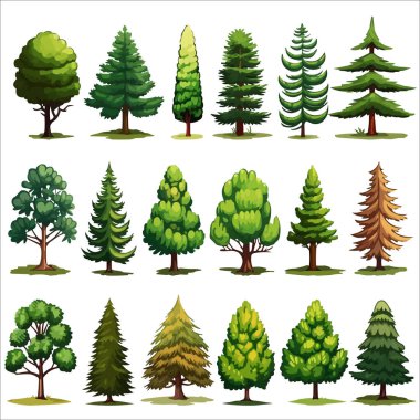 Orman daima yeşil ağaç vektörü ayarlandı. Kozalaklı orman çizimleri