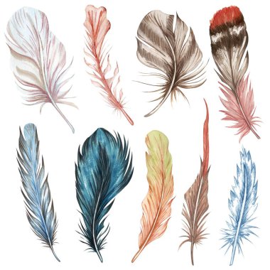 El yapımı suluboya tüy seti. Boho kuş tüyü..