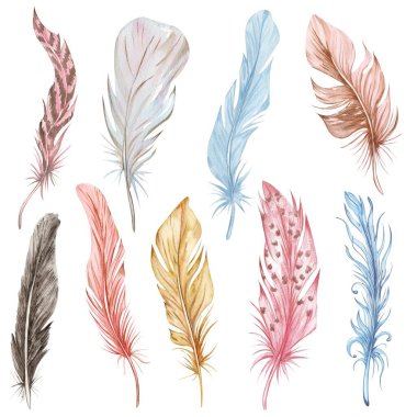 El yapımı suluboya tüy seti. Boho kuş tüyü..