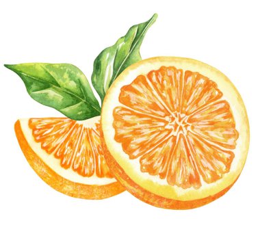 Portakal renkli suluboya beyaz arka planda izole edilmiş. Elle çizilmiş sağlıklı yiyecek seti..