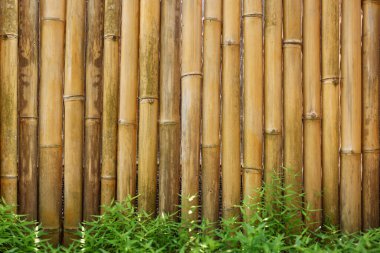 Sıcak tonlu ve altında yeşil bitkiler olan doğal kuru bambu duvarına yakın plan. Dokulu desenli dikey çit pankartı. Organik çevre dostu materyal.