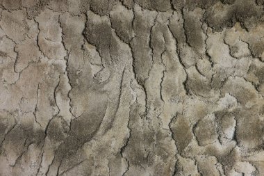 Gri alçı desenli arka planın farklı tonlarında, karmaşık dalgalı desenli, sanatsal arka planlar için ideal. Dekoratif soyut alçı dokusu ve farklı boyutlarda lekeler..