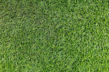 Yeşil çimen dokusu. Yeşil bir çimenliğin yüzeyine yakın çekim. Doğal arka plan. Yeşil bahçe konsepti. Taze çimen halısı. Yeşil alan duvar kağıdı.