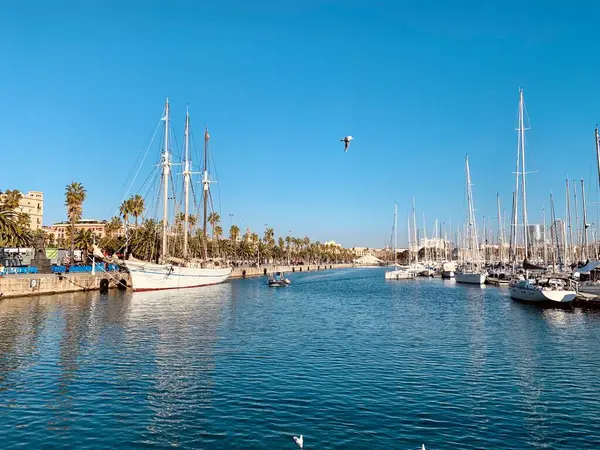 Bağlantı noktasındaki yatlar
