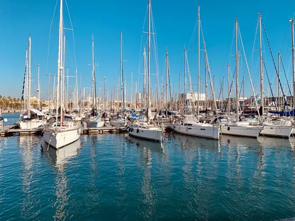 yat ve tekneli yat marinası Alicia Limanı 'nda..